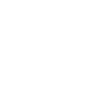 SDE at SEA — shipping & distribution expertise